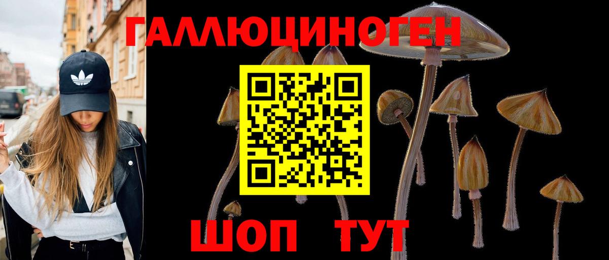 Псилоцибиновые грибы MAGIC MUSHROOMS Кубинка